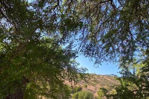 Nacktes Grundstück von 3500m² zum Verkauf in Azrarag taloughacht, 10km von Agadir entfernt